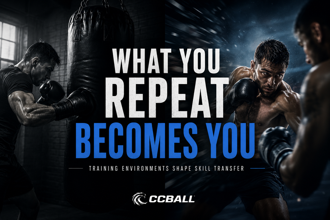 Training Environment and Skill Transfer in Boxing: Why Context Shapes Performance