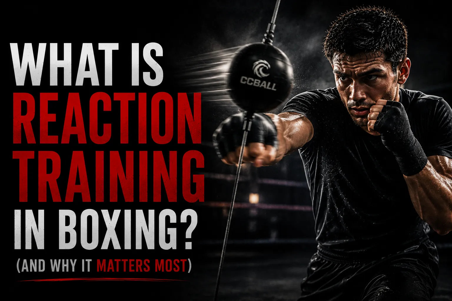 What Is Reaction Training in Boxing? (And Why It Matters Most)