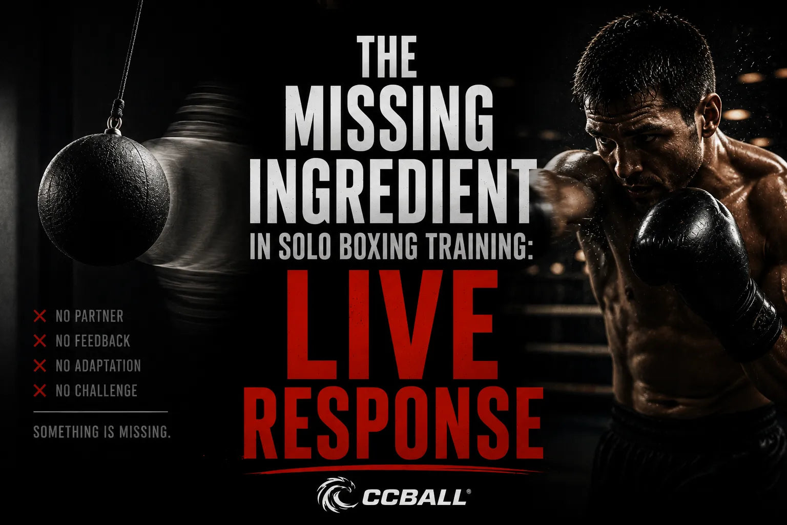 The Missing Ingredient in Solo Boxing Training: Live Response