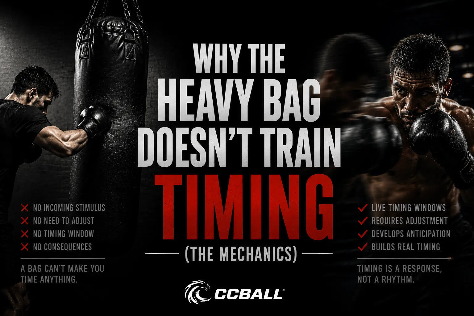 Why the Heavy Bag Doesn’t Train Timing (The Mechanics)